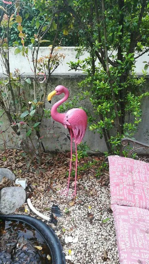 1 Stanza Aeroporto Venezia - Ricarica Elettrica Apartment Mogliano Veneto