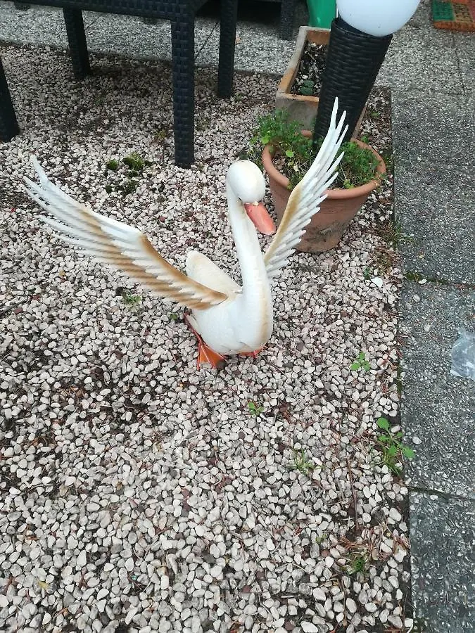 1 Stanza Aeroporto Venezia - Ricarica Elettrica Apartment Mogliano Veneto Homestay